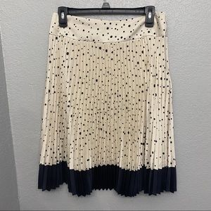 Ann Taylor skirt